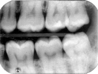 r4.gif (77070 bytes)